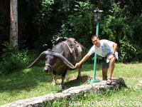 Cuba Agosto 2011 600..