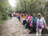 086. Laredo 2015. Ociobaile Bailes de Saln y Zumba Segovia DSCF4666