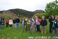 126. Laredo 2015. Ociobaile Bailes de Saln y Zumba Segovia DSC_0284