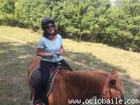 IMG_4283_opt