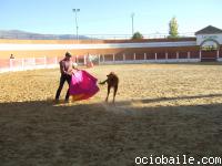 103... que se lucieron...